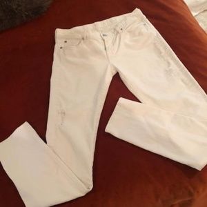 🐰 Seven for all Mankind